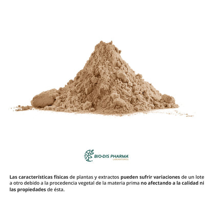 Más energía y concetración en tu día a día