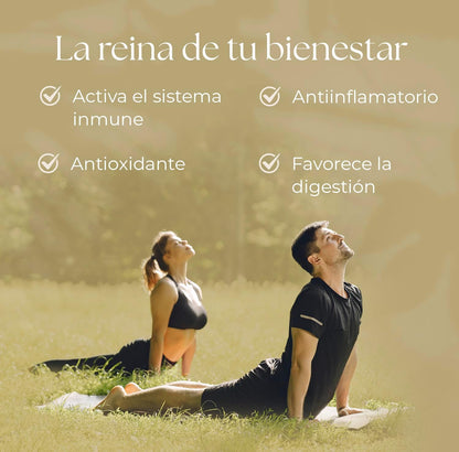 Pack: Hinchazón abdominal