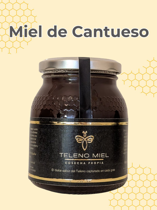 Miel de Cantueso: Antiinflamatoria y relajante