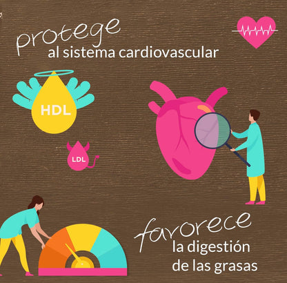 Favorece la digestión de grasas y sistema cardiovascular