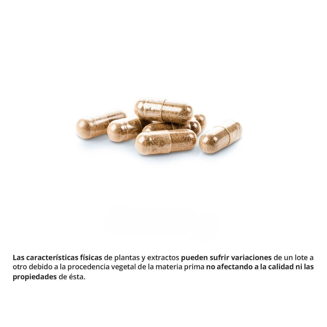 Más energía y concetración en tu día a día