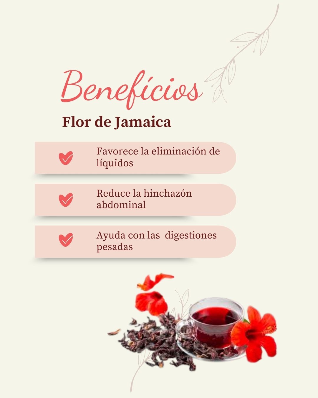Flor de Jamaica: Antioxidante, depurativa, natural, refrescante.